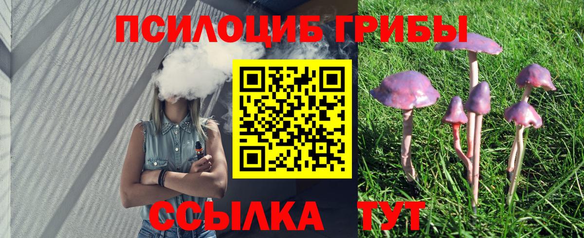 Костомукша  Галлюциногенные грибы прущие грибы  хочу   Псилоцибиновые грибы Psilocybine cubensis  Вход с VPN 